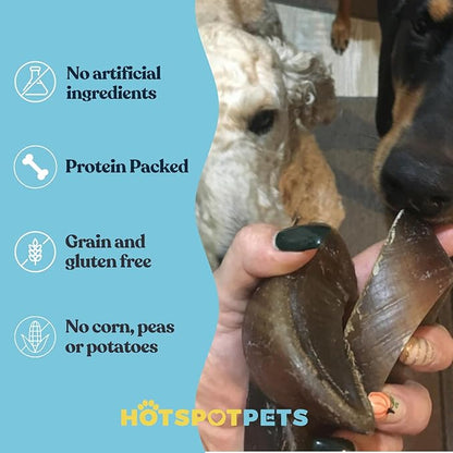 Full-Size Cow Hooves for Dogs | All-Natural Long Lasting Dog Chews | Made from Grass Fed Cattle | Tasty Treat for Oral Hygiene | Fantastic Alternative for Rawhide and Bully Sticks (100 Count)