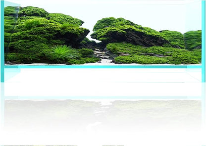 Fzone 1.7 Gal Nano Rimless Aquarium Low Iron Fish Tank NovaClear Ultra-White Translucent Glass Verso Series Nano Shallow Pond Levitating Floating Air Aquarium(A30-W18)