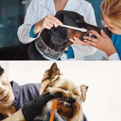 200 Pcs Dog Toothbrush Cat Tooth Brushes Bulk, Double Sided Brushing Kit, Teeth Cleaning Kit Soft Bristles Long Handle, Pet Tooth Brush for Small to Large Dog, Cat, Puppy & Kitten, 10 Colors