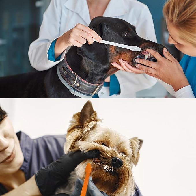 300 Pcs Dog Toothbrush Cat Tooth Brushes Bulk, Double Sided Brushing Kit, Teeth Cleaning Kit Soft Bristles Long Handle, Pet Tooth Brush for Small to Large Dog, Cat, Puppy & Kitten, 10 Colors