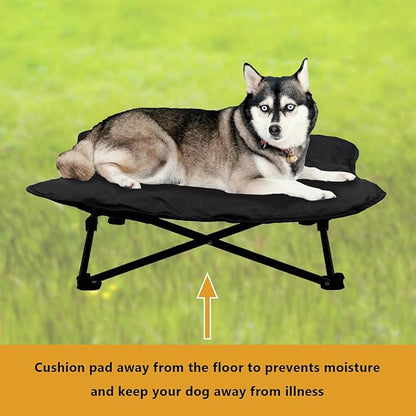 Elevated Dog Bed, Portable Raised Pet Cot for Outdoor and Indoor Folding Dog Cot Bed with Padded Filling Carrying Bag Included Pet Raised Travel Lounger for Camping Traveling (36x36x12inch)