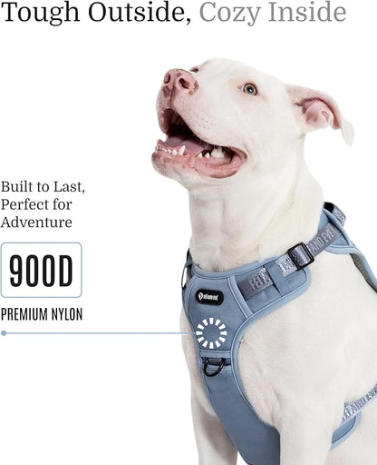 2025 New Edition, Fei & Eve MagEase Dog Harness - 3-Second Magnetic Buckles | 3-Point No-Pull Control | Heavy-Duty 900D Nylon | Dual Safety Handles | Breathable Mesh | Adjustable Fit | Medium, Blue