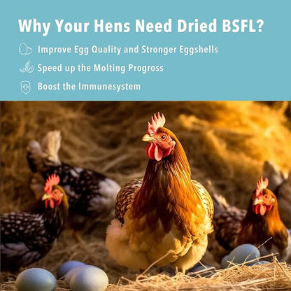 11LB Dried Black Soldier Fly Larvae,Chicken Feed More Calcium Than Mealworms for Chickens,Laying Hens,Blue Birds