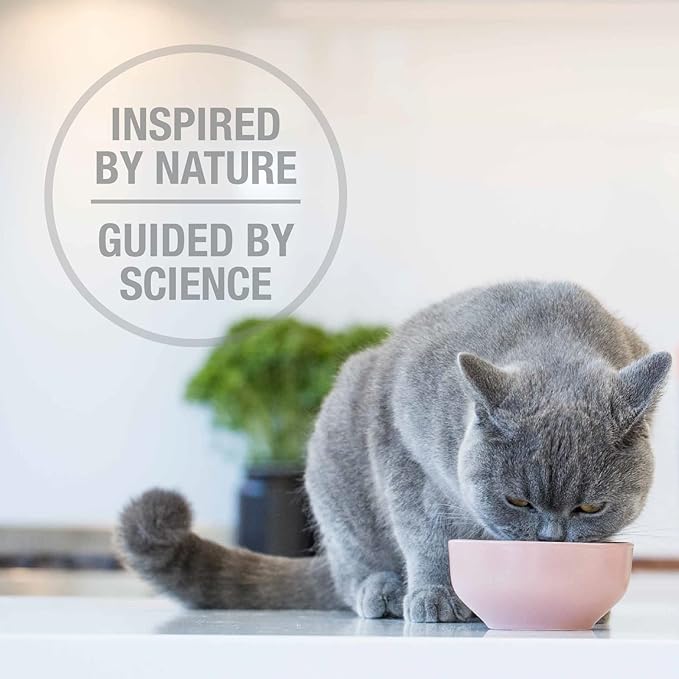 Feline Natural High Protein Dry Cat Food, Freeze-Dried Diet with 98% Meat, Organs & Seafood, No Peas, Grains, or Artificial Additives, Made in New Zealand, Chicken, 11oz