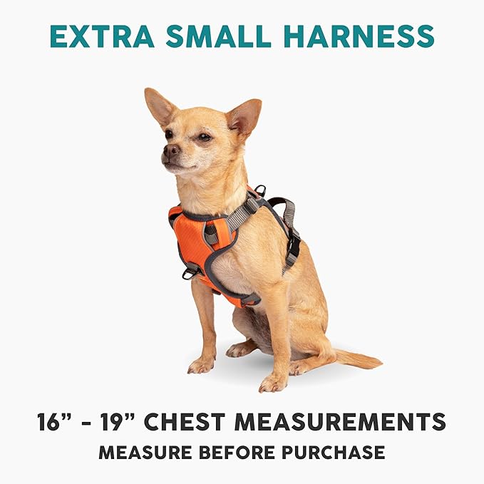 Embark Adventure Dog Harness, No-Pull Reflective Trim Dog Harness for Small, Medium & Large Dogs - Military Grade Nylon, 2 Leash Clips & Gel Lined Handle. Soft & Padded Puppy Dog Vest for Any Breed