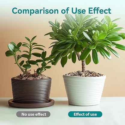 2.5 lbs Pebbles for Indoor Plants, Vase, Succulent, 3/8" Gravel for Plants, Pots Indoor, Bamboo Rocks for Bamboo Plants, Decorative Small River Rock, Highly Polished