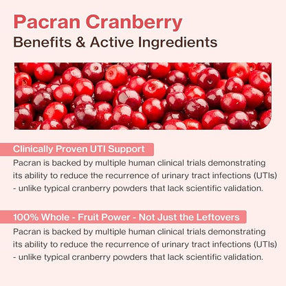 Dr.by UT Care Cat UTI Kidney Support Urinary Supplement Cranberry Treatment for Cats Renal Health with Pacran, Quercetin, Taurine lickable Formula Individually Packaged (1 Pack)