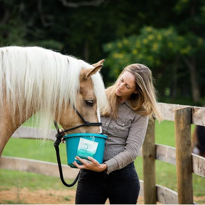GALLAGHER'S WATER 2 Pack All-Natural Equine Hydration Treat - Enhancement Powder Mix Horse Drink Treat to Help Encourage to Drink Water - Made with All Natural Ingredients, FEI Compliant