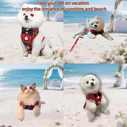 Dog Tuxedo for Wedding, Formal Pet Suit with Bow Tie and Leash, Adjustable Dog Costume for Small Medium Large Dogs, Birthday Christmas Halloween Party Apparel, M（8-14LB）