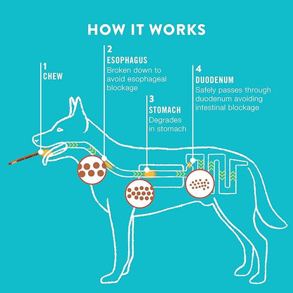 5" BBQ Collagen Skewers - Collagen Dog Chews - Long Lasting Healthy Joint Support Dog Treat - Rawhide Alternative - Skin & Coat Health, 1 Bag, 15 Count