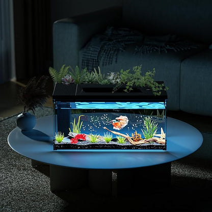 3.7 Gallon Betta Fish Tank self Cleaning,Smart Aquarium Aquarium kit with Filter Light Water Pump
