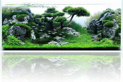 Fzone 80 Gal Rimless Low Iron Fish Tank Nova Clear Ultra-White 45° Mitered Edges Translucent Glass Anata Series Aquarium w/Black Foam Leveling Mat(S120-W50)