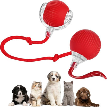 2 Pcs Interactive Rolling Cat Dog Toy Ball, Electric Cat Ball Toy Smart Automatic Self Rolling Dog Ball Toys, 360° Smart Rolling Ball Toy Electric Balls for Dog Cat (Red)