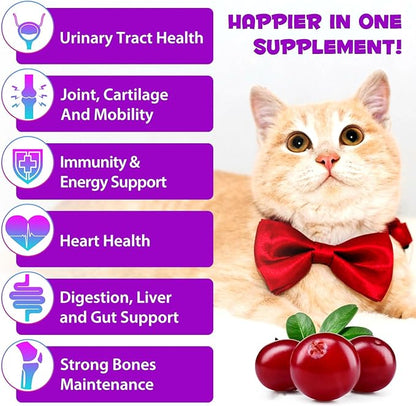 15-in-1 Multivitamin Drops for Cats - Immune Support, Skin & Coat Health, Digestion, Joint Care - with Vitamins A, B, C, D, E - Liquid Supplement for All Life Stages, 2 fl.oz/60ml, 2 Pack