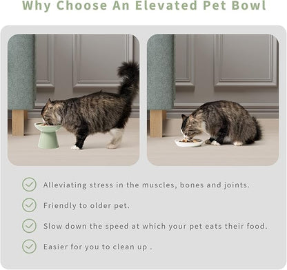 Extra Wide Elevated Ceramic Cat Bowl, 6.2" Shallow Dish for Whisker Fatigue Relief, 5" Height for Easy Feeding, Durable Raised Cat Food Bowls, Pack of 2, Sage Green