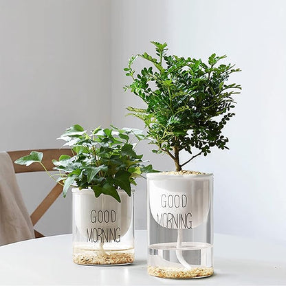 18lb Cactus Pea Gravel Rocks,1/5 Inch Pebbles for Indoor Plants, Natural Succulent Rock and River Rocks Decorative for Aquariums, Vases, Terrarium, Outdoor Gardening, Top Dressing for Potted Plants