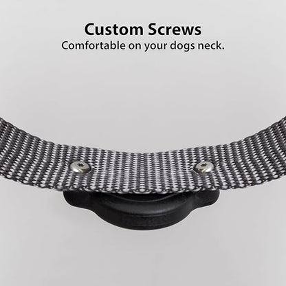 Elevation Lab TagVault™ Compact AirTag Dog Collar Mount (2 Pack) - IP68 Waterproof, Doesn't Dangle, Fits All Width Collars