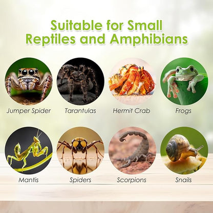 Acrylic Reptile Terrarium Enclosure 9.8" x 5.9" x 5.9" Magnetic Tarantula Breeding Box Transparent Insect Habitat for Jumping Spider Hermit Crab Lizard Sling Isopods Horned Frog Snake Gecko