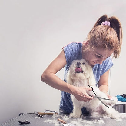 Dragon Creek 7" Upward Curved Dog Grooming Scissors - Safety Shears for Face & Paws Trimming - Black