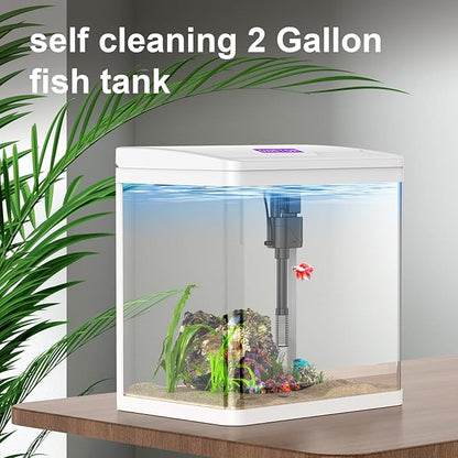 2 Gallon Glass Betta Fish Tank，Small Fish Tank with Filter and Light,Self-Cleaning Fish Tank.