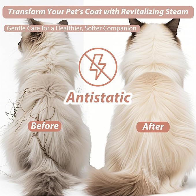 4 in 1 Cat Steam Brush Rechargeable Anti-Static Pet Spray Hair Removal Comb for Shedding and Grooming Multi-functional Pet Massage Brushes for Cats Dogs Small Animals