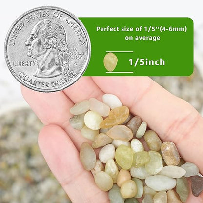 5 LBS Decorative Jade Stones – Ideal for Succulent Cactus Plants, Vase Fillers, Fish Tanks, and Landscaping Projects. 1/5 Inch Stones Promote Healthy Plant Growth (Jade, 5 Pounds)