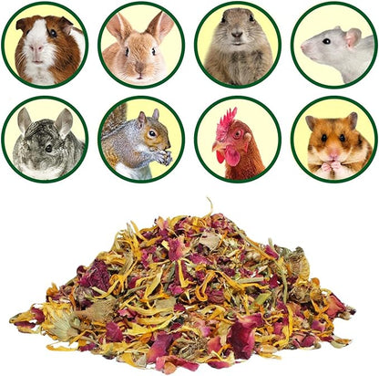 Flower Fusion Treat - Healthy Natural Dried Flower Herbivore Treat - Chinchillas, Guinea Pigs, Rabbits, Prairie Dogs, Degus, Hamsters, Rats, Squirrels, Sugar Gliders & Other Small Pets (0.85 oz)