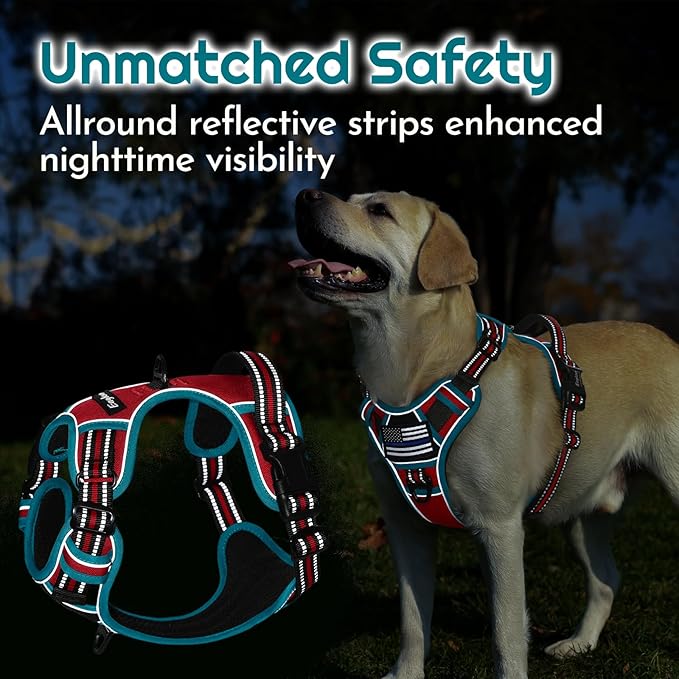 Eagloo Dog Harness for Large Dogs, Easy Wearing with 3 Buckles, Adjustable No Pull Pet Harness with 2 Rings for Walking, No Chock Reflective Soft Padded Vest with Control Handle, Red & Teal, XL
