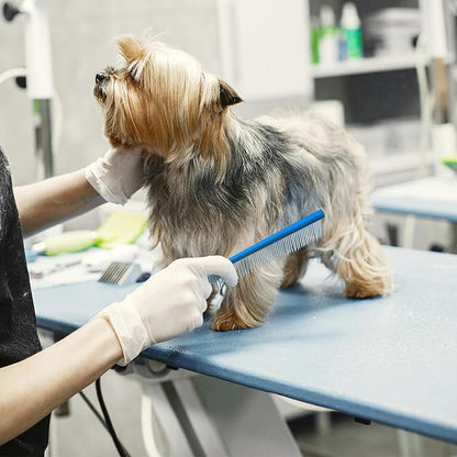 2 Pack Dog Combs with Stainless Steel Teeth Applicable to Cat Dog Comb Removing Tangles Easily Remove Dirt Grooming Anti-Slip Comfort Grip Handle （blue）