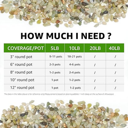 5 LBS Decorative Jade Stones – Ideal for Succulent Cactus Plants, Vase Fillers, Fish Tanks, and Landscaping Projects. 1/5 Inch Stones Promote Healthy Plant Growth (Jade, 5 Pounds)