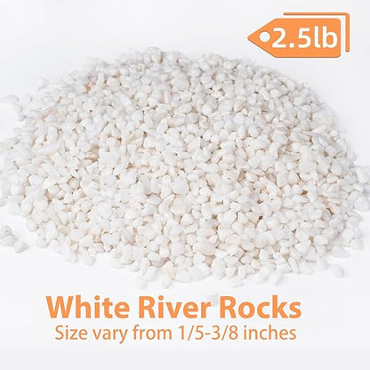 2.5 lbs White Aquarium Gravel, 1/5 Inch White Rocks for Plants, Small Pebbles for Vases, Succulents, Bamboo, Natural Decorative Pebbles for Plants Drainage, Cactus, Crafts