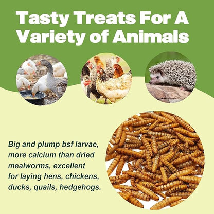5LB Dried Black Soldier Fly Larvae, 86X Calcium Than Dried Mealworms, High Protein Non-GMO Organic Chicken Feed