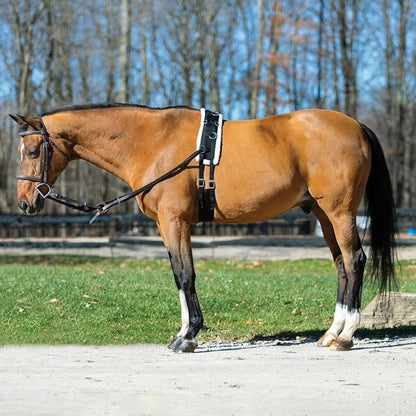 Dura-Tech Fleece Lined Training Surcingle for Horses | Essential for Lunging Work | Comfortable Fleece Lining | Durable Poly Material | Versatile D-Ring Placement | Suitable for All Training Levels