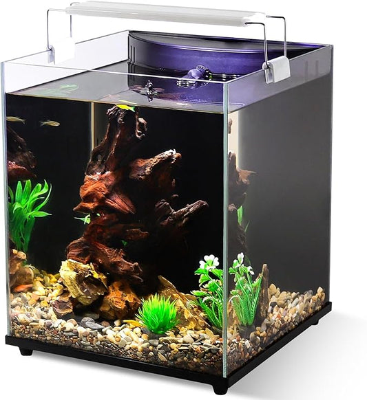 fishkeeper 5 Gallon Fish Tank Starter Kit, Small Aquarium with Filter and Adjustable 3 Color Lighting Self Cleaning Fish Bowl Rimless Aquarium for Beginners (Freshwater Fish Tank)