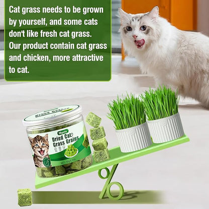 50g Cat Grass Teething Treat, Delicious Cat Grass Teething Snack Edible Cats Chew Toy for Teeth Cleaning and Hairball Removal