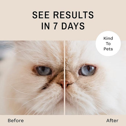 Eye Envy Tear Stain Remover Powder for Dogs and Cats. 100% Natural, Safe. Apply Around Eyes. Absorbs and Repels Tears. Keeps Area Dry. Treats The Cause of Staining. Made in The USA (2.5 oz)