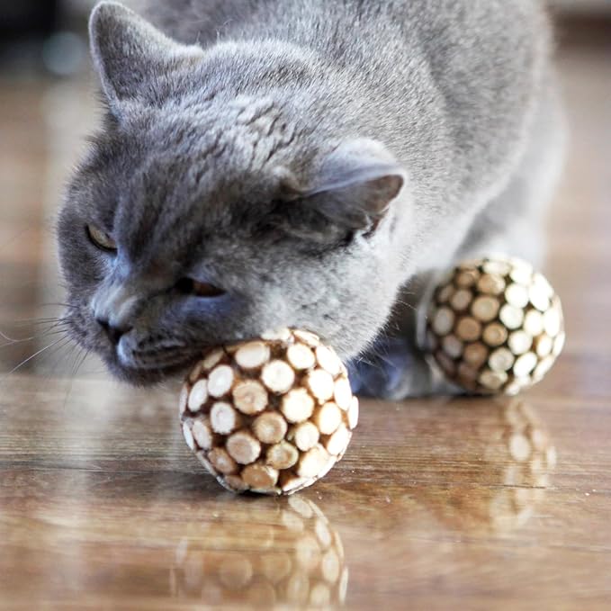 3PCS Cat Ball Toy,Silvervine Ball with Catnip Gall Fruit silvervine Sticks Powder Inside,Catnip Toys for Indoor Cats,Kitten Cleaning Teeth Cat Chew Toy