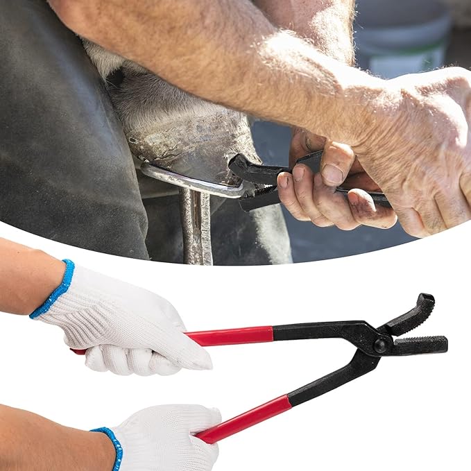 1112 Temp 11pcs Farrier Tools Farrier kit Horse shoeing Tools Farrier Supplies Farrier Tools for Horses Cattle Sheep and Donkeys