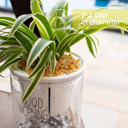 18lb Cactus Pea Gravel Rocks,1/5 Inch Pebbles for Indoor Plants, Natural Succulent Rock and River Rocks Decorative for Aquariums, Vases, Terrarium, Outdoor Gardening, Top Dressing for Potted Plants