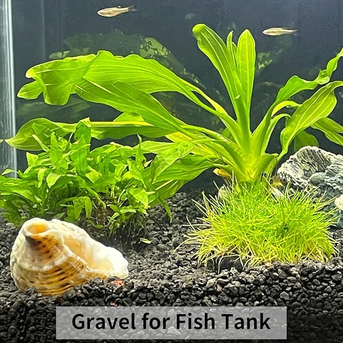 5lbs Black Pea Gravel, 3/8 Inch Decorative Pebbles Succulent Rocks, Black River Rocks Stones for Planters Vase Landscaping and Outdoor Garden Rock