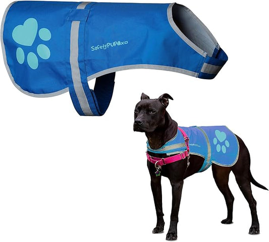 Dog Reflective Vest – Hi-Vis Fluorescent Visibility That Helps to Safeguard Your Pet On/Off Leash in Urban & Rural Areas (Blue, X-Small)