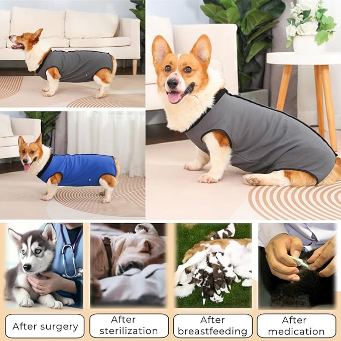 Dog Surgery Recovery Suit,Abdominal Surgical Suit for Dogs,Recovery Suit for Dogs,Prevent Licking Surgical Wound Dog Cone Alternative Blue S