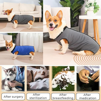 Dog Surgery Recovery Suit,Abdominal Surgical Suit for Dogs,Recovery Suit for Dogs,Prevent Licking Surgical Wound Dog Cone Alternative Blue XL