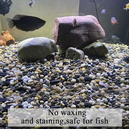 10 lbs Pea Gravel for Landscaping, 2/5 Inch Size Mixed Color River Rocks for Aquarium, Succulent, Vase Fillers, Cactus Bonsai, Plant Soil Cover and Outdoor Garden Rocks.