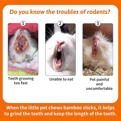 Fhiny 18 PCS Guinea Pig Chew Toys, Natural Seagrass Sweet Bamboo Molar Sticks for Teeth Bunny Chew Toys Cage Accessories for Rabbit Bunny Guinea Pig Chinchilla Hamster