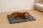 FUNNY FUZZY Washable Dog Bed,Reversible Plush Dog Crate Mat, Soft Fluffy Kennel Pad,Pet Sleeping Mattress for Jumbo,X-Large Sized Dogs Breeds,2XL,48"× 31",Grey