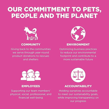 Go! Solutions Skin + Coat Care, Dry Cat Food, Chicken Recipe with Grains, 8 lb Bag