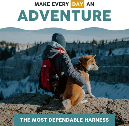 Embark Adventure Dog Harness, Reflective Trim XL Dog Harness for Extra Large Dogs No Pull - Military Grade Nylon, 2 Leash Clips & Gel Lined Handle.