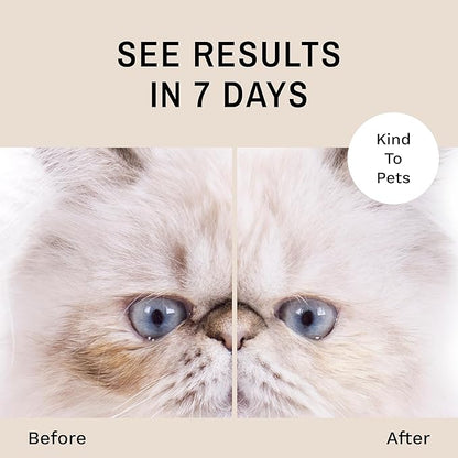 Eye Envy Tear Stain Remover Solution for Cats. 100% Natural, Safe. Treats The Cause of Stains. Recommended by Breeders, Vets, Groomers. Remove Eye Stains from Persians and Exotics. 32 oz. Made in USA