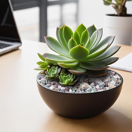 10 lbs Natural Pea Gravel Pebbles for Aquarium, Fish Tank, 3/8 inch Decorative Pebbles for Indoor Plants, Succulent, Bamboo, Vase, Drainage Rocks for Potted Plants, Top Dressing, Mixed Color